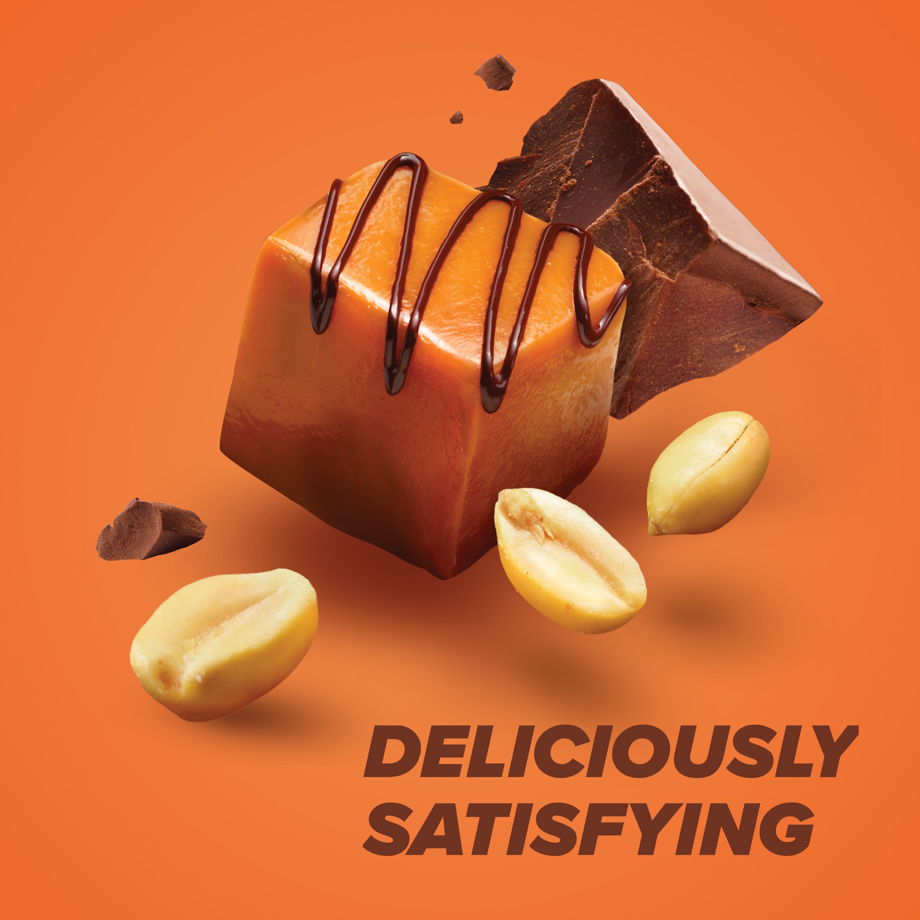 Chocolate Peanut Caramel Protein Bar