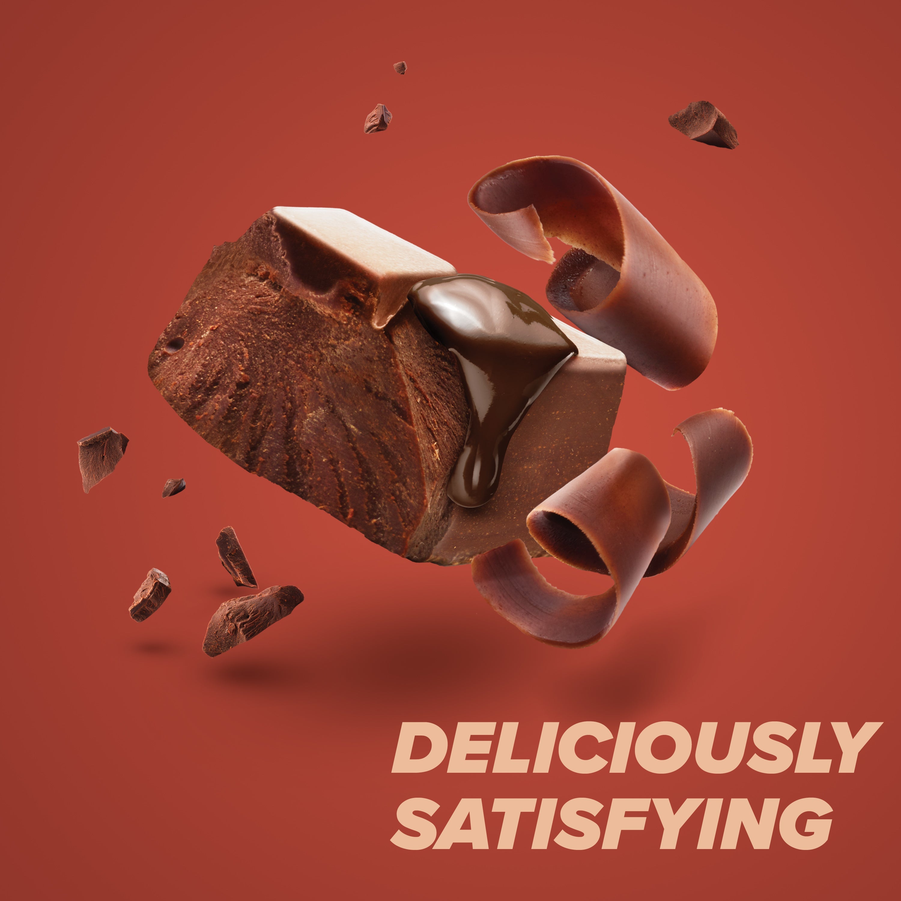 Chocolate Deluxe Protein Bar